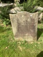 John Bell Plot 3043 - click for full size image John Bell Plot 3043 - click for full size image