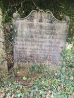 Joseph Pearson Plot 133 - click for full size image Joseph Pearson Plot 133 - click for full size image