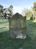 Joseph Rhodes Plot 2024 - click for full size image Joseph Rhodes Plot 2024 - click for full size image