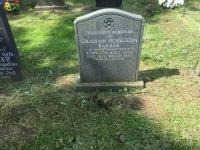 Graham Hodgson Barker Plot 817 - click for full size image Graham Hodgson Barker Plot 817 - click for full size image