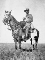 Paget's Horse Paget's Horse