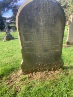 Jane ASHTON Plot 2015 - click for full size image Jane ASHTON Plot 2015 - click for full size image