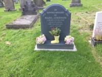 Hazel ATKINSON Plot 869 - click for full size image Hazel ATKINSON Plot 869 - click for full size image