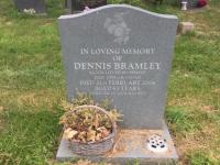 Dennis Bramley Plot 638 - click for full size image Dennis Bramley Plot 638 - click for full size image