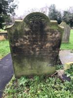 Mary Rhodes Plot 120 - click for full size image Mary Rhodes Plot 120 - click for full size image