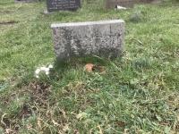 Barbara Pearson Plot 436a - click for full size image Barbara Pearson Plot 436a - click for full size image