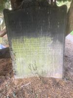 Dibb DARNBROOK Plot 2033 - click for full size image Dibb DARNBROOK Plot 2033 - click for full size image